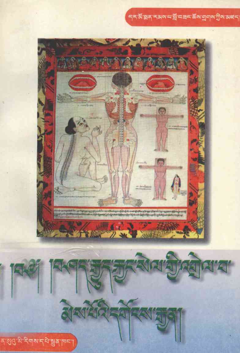 藏药性能明释  藏文